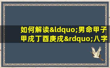 如何解读“男命甲子甲戌丁酉庚戌”八字命盘