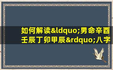 如何解读“男命辛酉壬辰丁卯甲辰”八字命盘