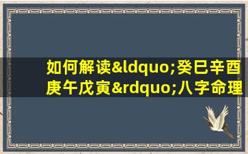 如何解读“癸巳辛酉庚午戊寅”八字命理