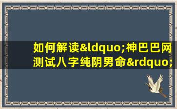 如何解读“神巴巴网测试八字纯阴男命”的结果