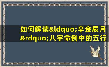 如何解读“辛金辰月”八字命例中的五行相生相克关系