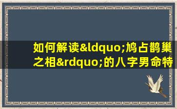 如何解读“鸠占鹊巢之相”的八字男命特征