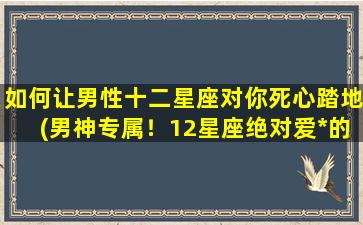 如何让男性十二星座对你死心踏地(男神专属！12星座绝对爱*的秘密技巧)