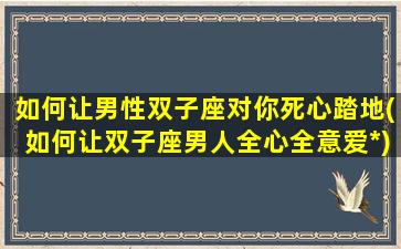 如何让男性双子座对你死心踏地(如何让双子座男人全心全意爱*)