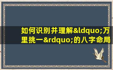 如何识别并理解“万里挑一”的八字命局