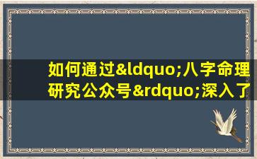 如何通过“八字命理研究公众号”深入了解个人命运