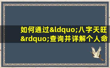 如何通过“八字天旺”查询并详解个人命格