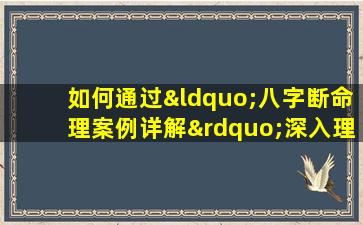 如何通过“八字断命理案例详解”深入理解命理学的应用