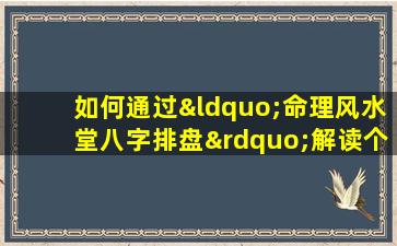 如何通过“命理风水堂八字排盘”解读个人命运