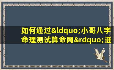 如何通过“小哥八字命理测试算命网”进行个人命理分析