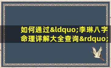 如何通过“李琳八字命理详解大全查询”深入理解个人命理