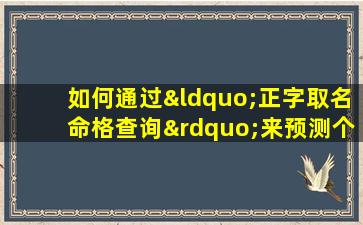 如何通过“正字取名命格查询”来预测个人吉凶