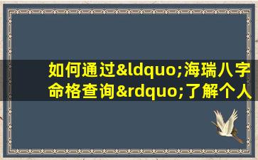 如何通过“海瑞八字命格查询”了解个人命运