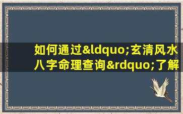 如何通过“玄清风水八字命理查询”了解个人命运