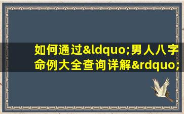 如何通过“男人八字命例大全查询详解”深入理解男性命理