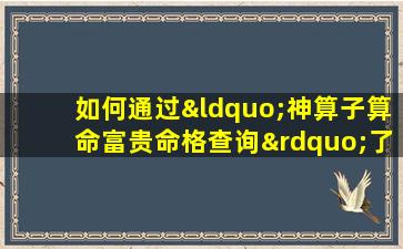 如何通过“神算子算命富贵命格查询”了解个人的命运和财富潜力