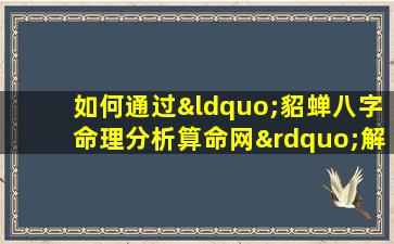 如何通过“貂蝉八字命理分析算命网”解读个人命运