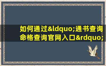 如何通过“通书查询命格查询官网入口”找到并使用命格查询服务