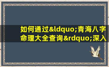 如何通过“青海八字命理大全查询”深入了解个人命理