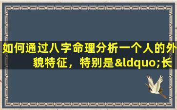 如何通过八字命理分析一个人的外貌特征，特别是“长相像仙女”的特质