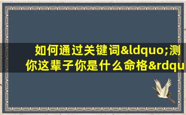 如何通过关键词“测你这辈子你是什么命格”来了解个人的命运走向