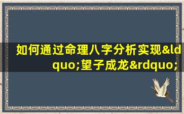 如何通过命理八字分析实现“望子成龙”的期望