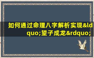 如何通过命理八字解析实现“望子成龙”的期望