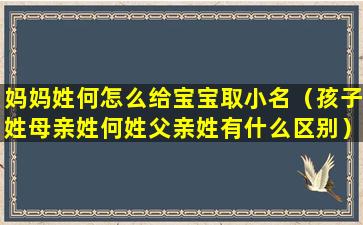 妈妈姓何怎么给宝宝取小名（孩子姓母亲姓何姓父亲姓有什么区别）