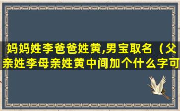 妈妈姓李爸爸姓黄,男宝取名（父亲姓李母亲姓黄中间加个什么字可以）