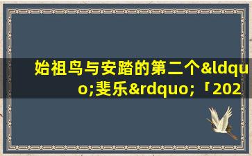 始祖鸟与安踏的第二个“斐乐”「2021年牛宝宝男名」