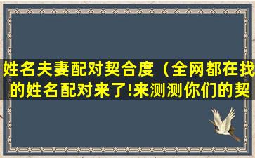 姓名夫妻配对契合度（全网都在找的姓名配对来了!来测测你们的契合度吧!）