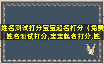 姓名测试打分宝宝起名打分（免费姓名测试打分,宝宝起名打分,姓名打分100分的姓名）