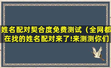 姓名配对契合度免费测试（全网都在找的姓名配对来了!来测测你们的契合度吧!）