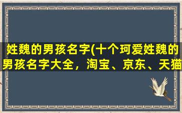 姓魏的男孩名字(十个珂爱姓魏的男孩名字大全，淘宝、京东、天猫爆款优惠促销！)