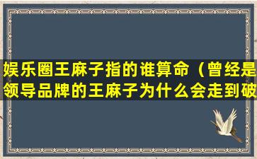 娱乐圈王麻子指的谁算命（曾经是领导品牌的王麻子为什么会走到破产的境地）