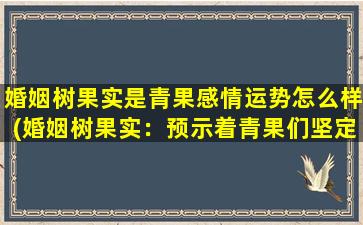 婚姻树果实是青果感情运势怎么样(婚姻树果实：预示着青果们坚定的爱情和美好的婚姻将在未来实现)