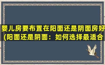 婴儿房要布置在阳面还是阴面房好(阳面还是阴面：如何选择最适合婴儿的房间布置方向？)