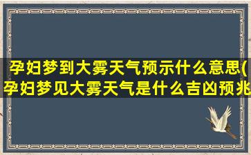 孕妇梦到大雾天气预示什么意思(孕妇梦见大雾天气是什么吉凶预兆)