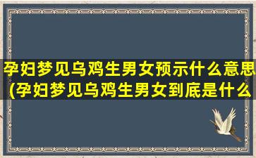 孕妇梦见乌鸡生男女预示什么意思(孕妇梦见乌鸡生男女到底是什么含义？)