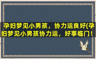 孕妇梦见小男孩，协力运良好(孕妇梦见小男孩协力运，好事临门！)