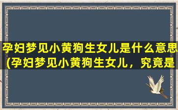 孕妇梦见小黄狗生女儿是什么意思(孕妇梦见小黄狗生女儿，究竟是什么含义？)