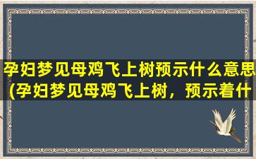 孕妇梦见母鸡飞上树预示什么意思(孕妇梦见母鸡飞上树，预示着什么？)