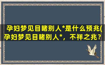 孕妇梦见目睹别人*是什么预兆(孕妇梦见目睹别人*，不祥之兆？此时应该如何应对？)