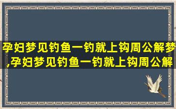 孕妇梦见钓鱼一钓就上钩周公解梦,孕妇梦见钓鱼一钓就上钩周公解梦是啥意思