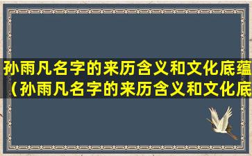 孙雨凡名字的来历含义和文化底蕴（孙雨凡名字的来历含义和文化底蕴是什么）