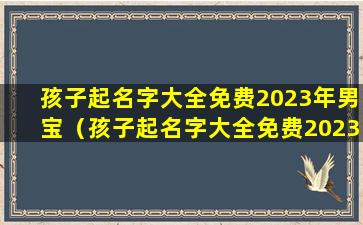 孩子起名字大全免费2023年男宝（孩子起名字大全免费2023年男宝宝取名）