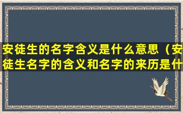 安徒生的名字含义是什么意思（安徒生名字的含义和名字的来历是什么）