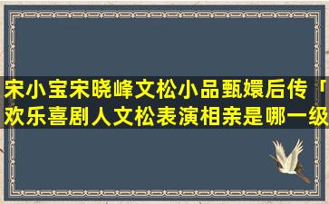 宋小宝宋晓峰文松小品甄嬛后传「欢乐喜剧人文松表演相亲是哪一级」