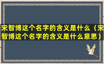 宋智博这个名字的含义是什么（宋智博这个名字的含义是什么意思）