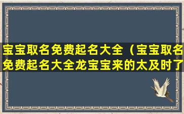 宝宝取名免费起名大全（宝宝取名免费起名大全龙宝宝来的太及时了应该叫啥名字）